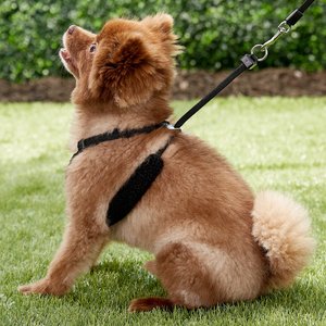 Sporn Comfort Training Mesh No Pull Dog Harness, Black, Small: 9 to 12-in neck