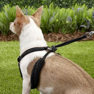Sporn Comfort Training Mesh No Pull Dog Harness, Black, Small: 9 to 12-in neck