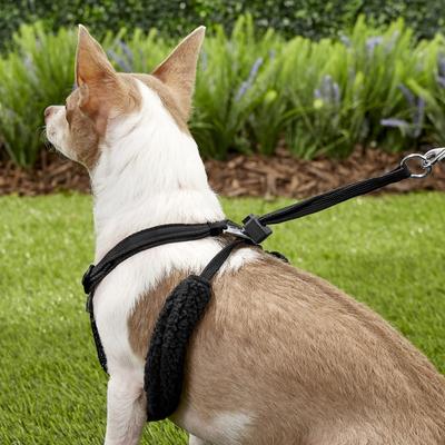 Sporn Mesh No Pull Dog Harness