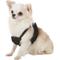Show in main carousel: Sporn Comfort Training Mesh No Pull Dog Harness, Black, X-Small: 8 to 10-in neck slide 3 of 10
