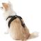 Show in main carousel: Sporn Comfort Training Mesh No Pull Dog Harness, Black, X-Small: 8 to 10-in neck slide 4 of 10