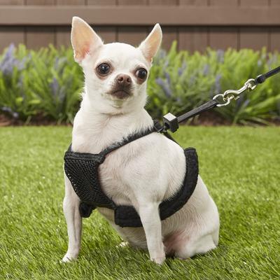 Show full view: Sporn Comfort Training Mesh No Pull Dog Harness, Black, X-Small: 8 to 10-in neck slide 5 of 10