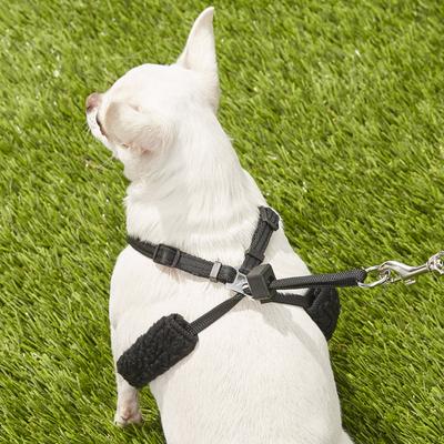 Show full view: Sporn Comfort Training Mesh No Pull Dog Harness, Black, X-Small: 8 to 10-in neck slide 6 of 10