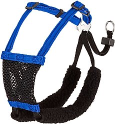 Sporn Comfort Training Mesh No Pull Dog Harness, Blue, Small: 9 to 12-in neck