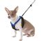 Show in main carousel: Sporn Comfort Training Mesh No Pull Dog Harness, Blue, Small: 9 to 12-in neck slide 3 of 10