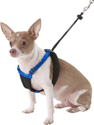 Show full view: Sporn Comfort Training Mesh No Pull Dog Harness, Blue, Small: 9 to 12-in neck slide 3 of 10