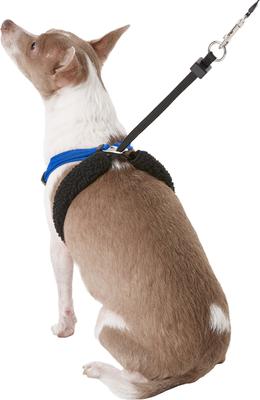 Show full view: Sporn Comfort Training Mesh No Pull Dog Harness, Blue, Small: 9 to 12-in neck slide 4 of 10
