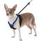 Show in main carousel: Sporn Comfort Training Mesh No Pull Dog Harness, Blue, Small: 9 to 12-in neck slide 5 of 10