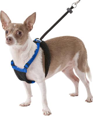 Show full view: Sporn Comfort Training Mesh No Pull Dog Harness, Blue, Small: 9 to 12-in neck slide 5 of 10