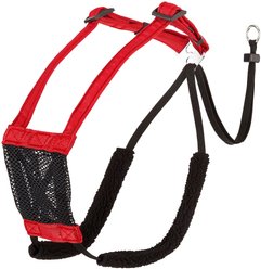 Sporn Comfort Training Mesh No Pull Dog Harness, Red, Large/X-Large: 16 to 24-in neck