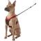 Show in main carousel: Sporn Comfort Training Mesh No Pull Dog Harness, Red, Large/X-Large: 16 to 24-in neck slide 3 of 11