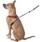 Show in main carousel: Sporn Comfort Training Mesh No Pull Dog Harness, Red, Large/X-Large: 16 to 24-in neck slide 4 of 11