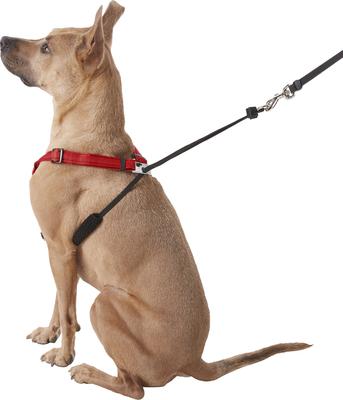 Show full view: Sporn Comfort Training Mesh No Pull Dog Harness, Red, Large/X-Large: 16 to 24-in neck slide 4 of 11