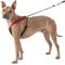 Show in main carousel: Sporn Comfort Training Mesh No Pull Dog Harness, Red, Large/X-Large: 16 to 24-in neck slide 5 of 11