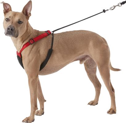 Show full view: Sporn Comfort Training Mesh No Pull Dog Harness, Red, Large/X-Large: 16 to 24-in neck slide 5 of 11