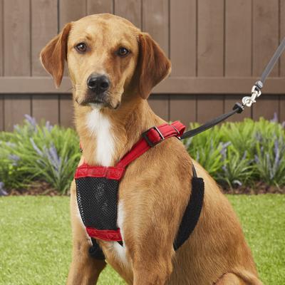 Show full view: Sporn Comfort Training Mesh No Pull Dog Harness, Red, Large/X-Large: 16 to 24-in neck slide 6 of 11