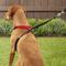 Show in main carousel: Sporn Comfort Training Mesh No Pull Dog Harness, Red, Large/X-Large: 16 to 24-in neck slide 7 of 11