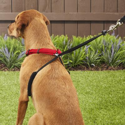 Show full view: Sporn Comfort Training Mesh No Pull Dog Harness, Red, Large/X-Large: 16 to 24-in neck slide 7 of 11
