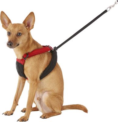 Show full view: Sporn Comfort Training Mesh No Pull Dog Harness, Red, Medium: 12 to 17-in neck slide 3 of 10