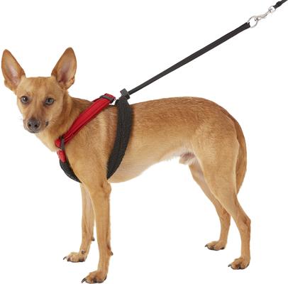 Show full view: Sporn Comfort Training Mesh No Pull Dog Harness, Red, Medium: 12 to 17-in neck slide 5 of 10