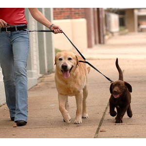 Sporn Double Dog Leash, Black, Medium/Large: 5-ft long, 5/8-in wide