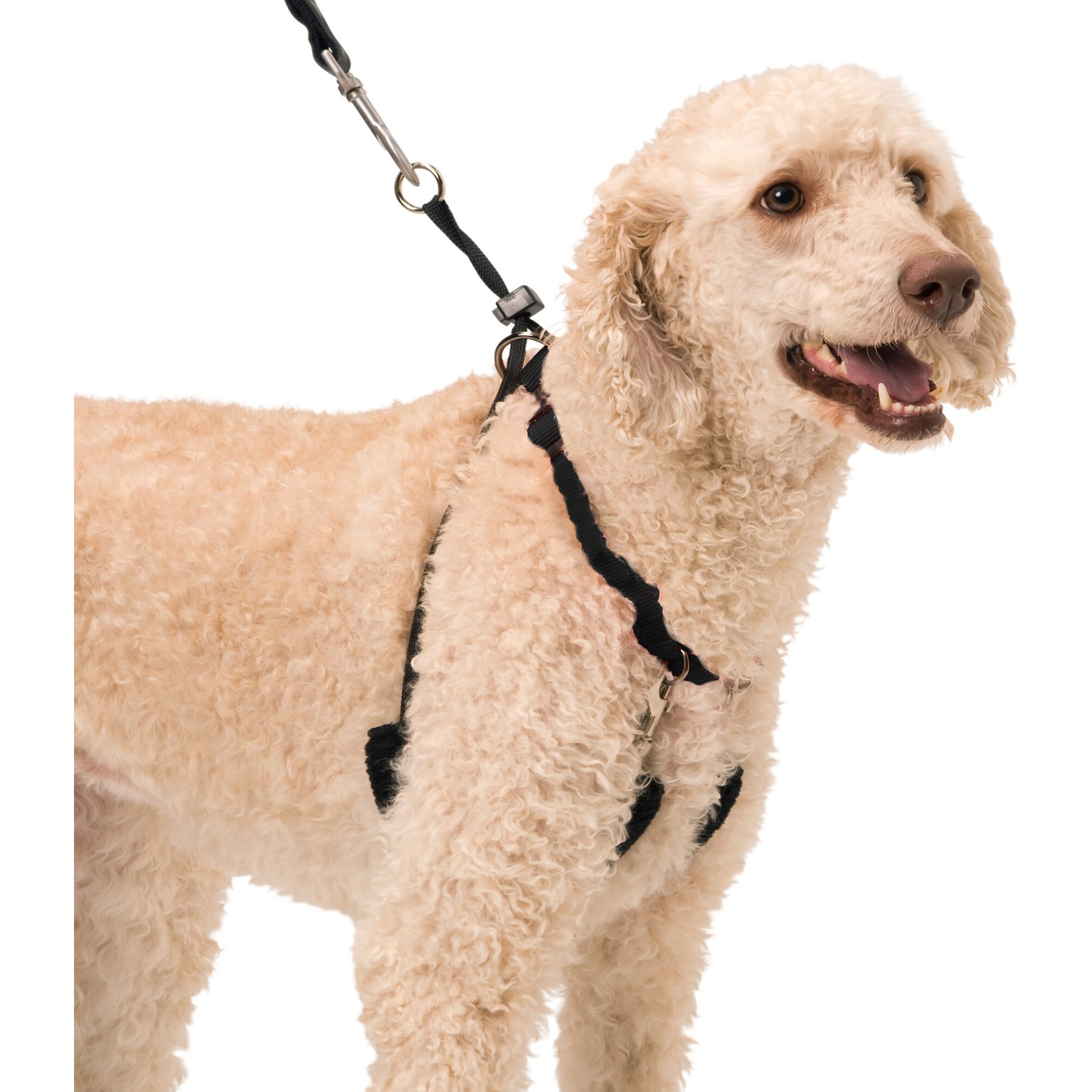 Sporn Original No Pull Training Halter Dog Harness, Black, Large: 16 to 24-in neck