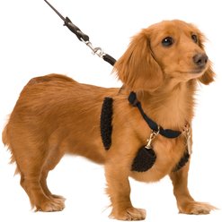 Sporn Original No Pull Training Halter Dog Harness, Black, Small: 9 to 12-in neck