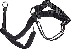 Sporn Original No Pull Training Halter Dog Harness, Black, Small: 9 to 12-in neck slide 2 of 2