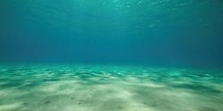 Aquatic Creations Static Cling Ocean Floor Aquarium Background, Medium