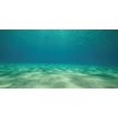 Aquatic Creations Static Cling Ocean Floor Aquarium Background
