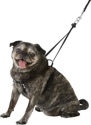 Show full view: Sporn Original No Pull Training Halter Dog Harness, Black, Medium: 12 to 17-in neck slide 3 of 10