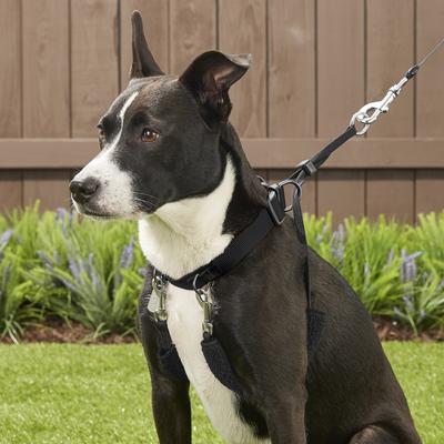 Show full view: Sporn Original No Pull Training Halter Dog Harness, Black, Medium: 12 to 17-in neck slide 5 of 10