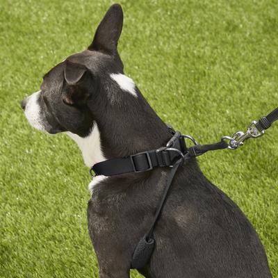 Show full view: Sporn Original No Pull Training Halter Dog Harness, Black, Medium: 12 to 17-in neck slide 6 of 10