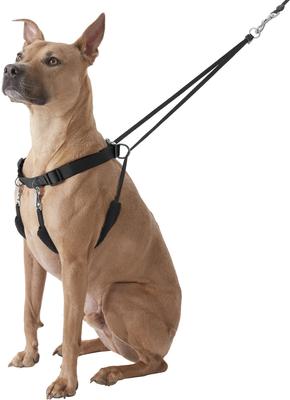 Show full view: Sporn Original No Pull Training Halter Dog Harness, Black, X-Large: 23 to 33-in neck slide 3 of 11