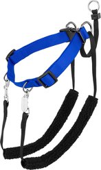 Sporn Original No Pull Training Halter Dog Harness, Blue, Large: 16 to 24-in neck