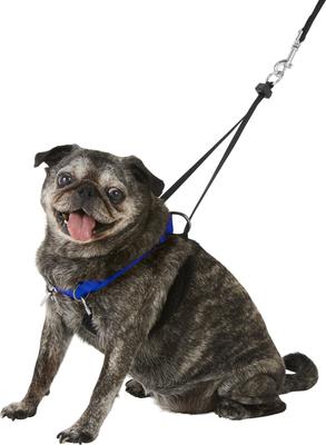 Show full view: Sporn Original No Pull Training Halter Dog Harness, Blue, Medium: 12 to 17-in neck slide 4 of 12