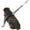 Show in main carousel: Sporn Original No Pull Training Halter Dog Harness, Blue, Medium: 12 to 17-in neck slide 5 of 12