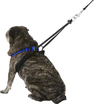 Show full view: Sporn Original No Pull Training Halter Dog Harness, Blue, Medium: 12 to 17-in neck slide 5 of 12