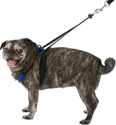 Show full view: Sporn Original No Pull Training Halter Dog Harness, Blue, Medium: 12 to 17-in neck slide 6 of 12
