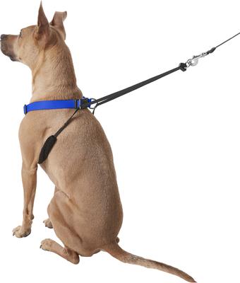 Show full view: Sporn Original No Pull Training Halter Dog Harness, Blue, X-Large: 23 to 33-in neck slide 5 of 12