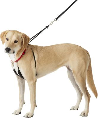 Show full view: Sporn Original No Pull Training Halter Dog Harness, Red, Large: 16 to 24-in neck slide 5 of 11