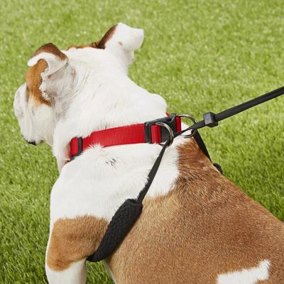 Show full view: Sporn Original No Pull Training Halter Dog Harness, Red, Large: 16 to 24-in neck slide 7 of 11
