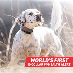 SportDOG FieldSentinel 1825 Remote Training Dog Shock Collar, Black slide 2 of 7