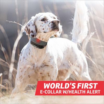 Show full view: SportDOG FieldSentinel 1825 Remote Training Dog Shock Collar, Black slide 2 of 8