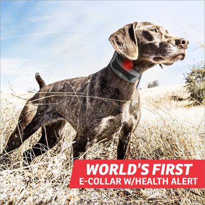 Show full view: SportDOG FieldSentinel 825 Remote Training Dog Shock Collar, Black slide 3 of 9