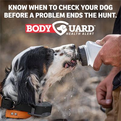 Show full view: SportDOG FieldSentinel 825/1825 Add-A-Dog Replacement Dog Shock Collar, Green slide 3 of 4