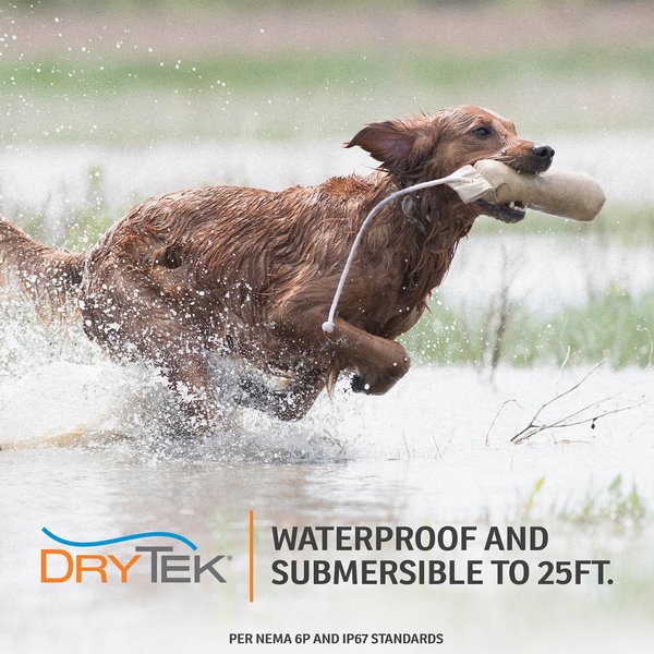 Show full view: SportDOG FieldTrainer 425XS Waterproof Stubborn Dog Shock E-Collar slide 5 of 9