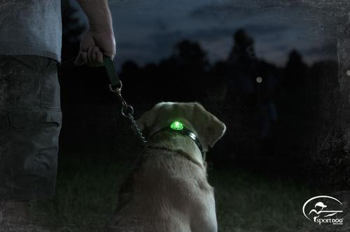 Show full view: SportDOG Locator Beacon for Dog Collars, Red slide 2 of 9