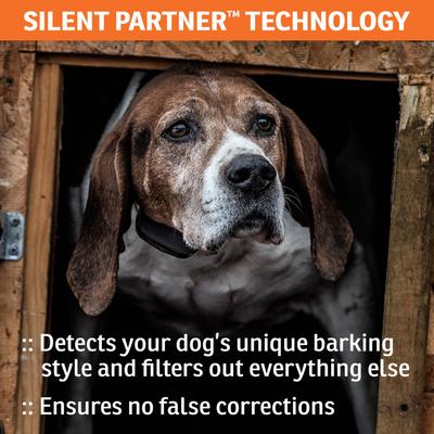 Show full view: SportDOG NoBark 8 Standard Waterproof Dog Bark Shock Collar slide 5 of 9