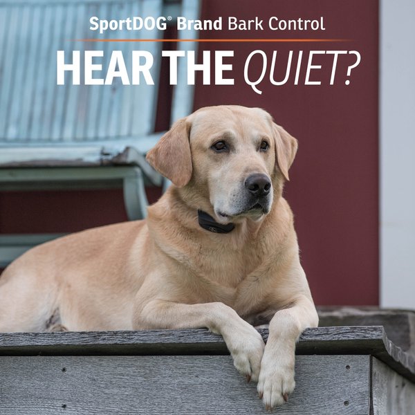 SportDOG NoBark 8 Standard Waterproof Dog Bark Shock Collar